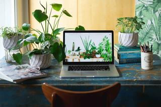 A minimalist desk with a notebook and a plant.
